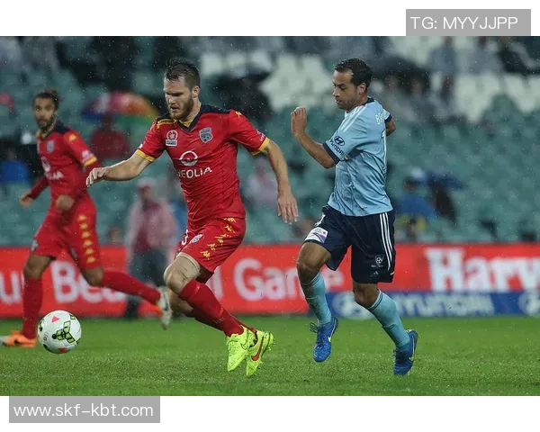 阿德莱德对阵中央海岸水手精彩直播全程回顾与分析